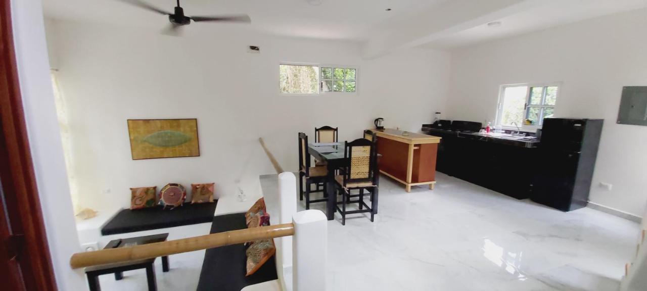 New! Casa Xola Cenote And Fauna Loft コスメル エクステリア 写真