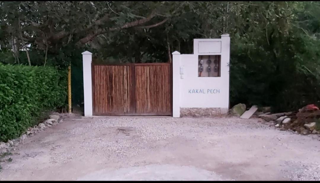 New! Casa Xola Cenote And Fauna Loft コスメル エクステリア 写真